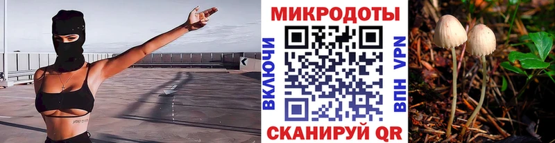 Псилоцибиновые грибы MAGIC MUSHROOMS Советская Гавань